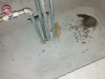 祥云卫生间测漏水价格明细