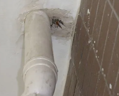 祥云漏水检测哪家好